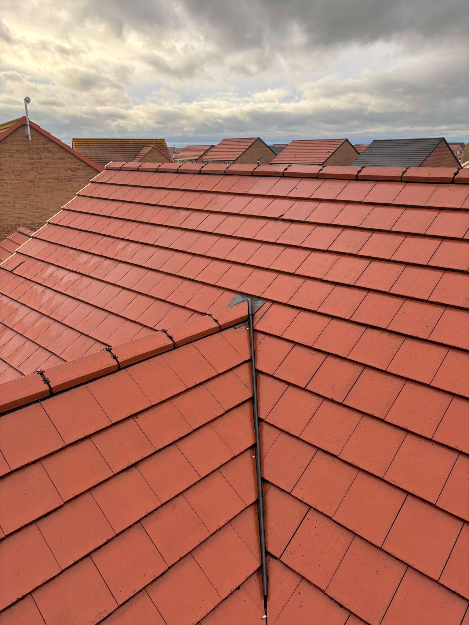 Roof Cleaning Project